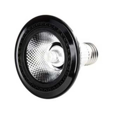 Cata CT-4245 12W PAR30 Cob Led Ampul E27 Duy Günışığı