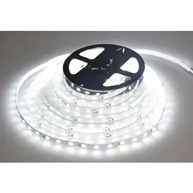 Cata CT-4538 Gold İç Mekan 12w 240 Çipli Şerit Led Beyaz Işık