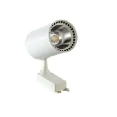 ZMR 30W Beyaz Kasa Ray Spot Günışığı