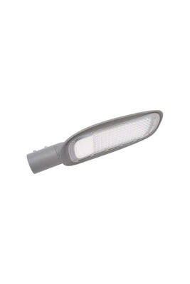 Pelsan Berlin 100W Yol Aydınlatma Armatürü 109855